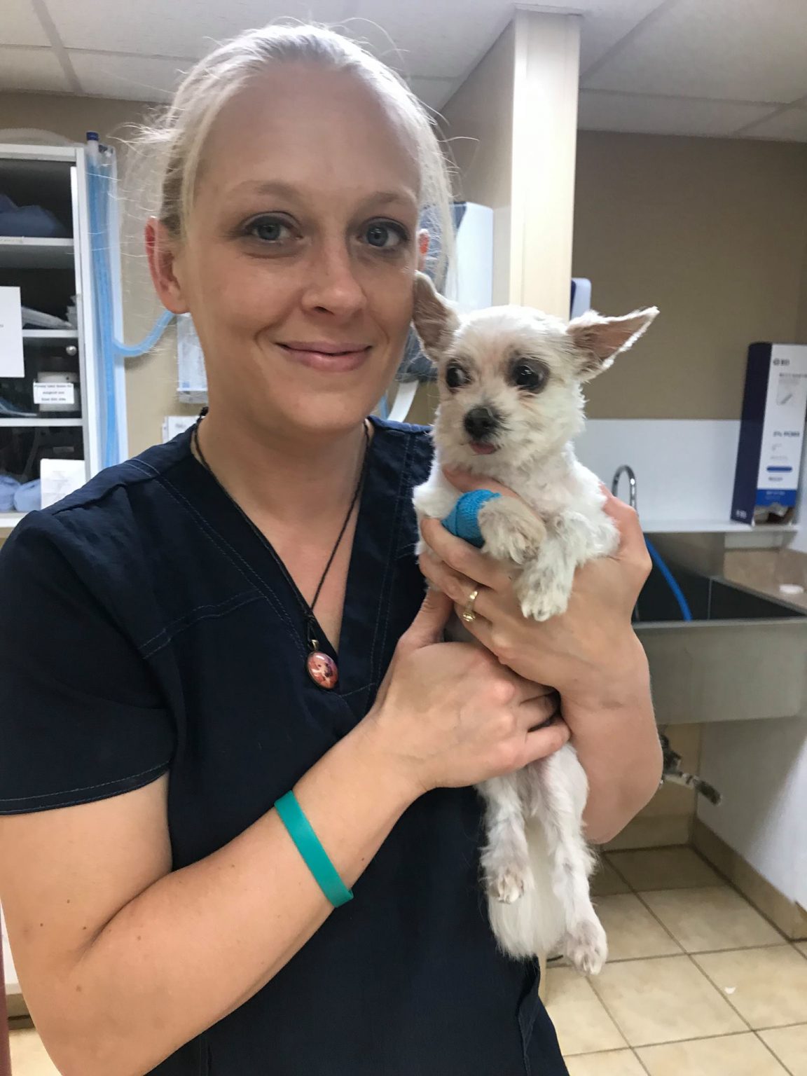 Our Team Andrews Veterinary Hospital