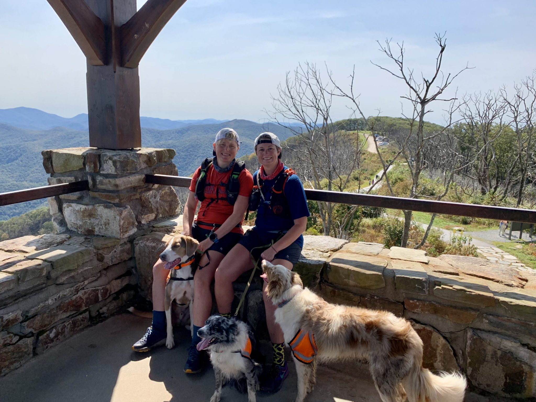 The AVH Team Andrews Veterinary Hospital