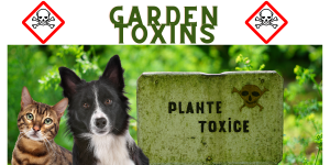 Garden Toxins in Pets