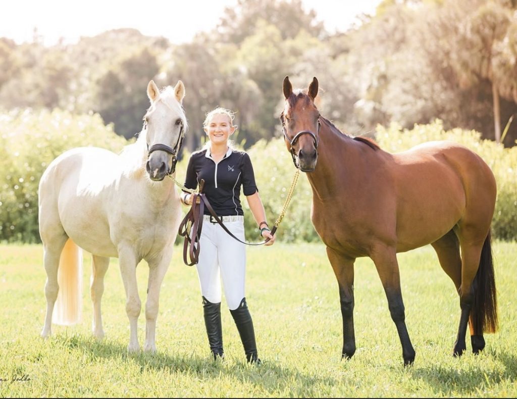 Our Team Andrews Veterinary Hospital