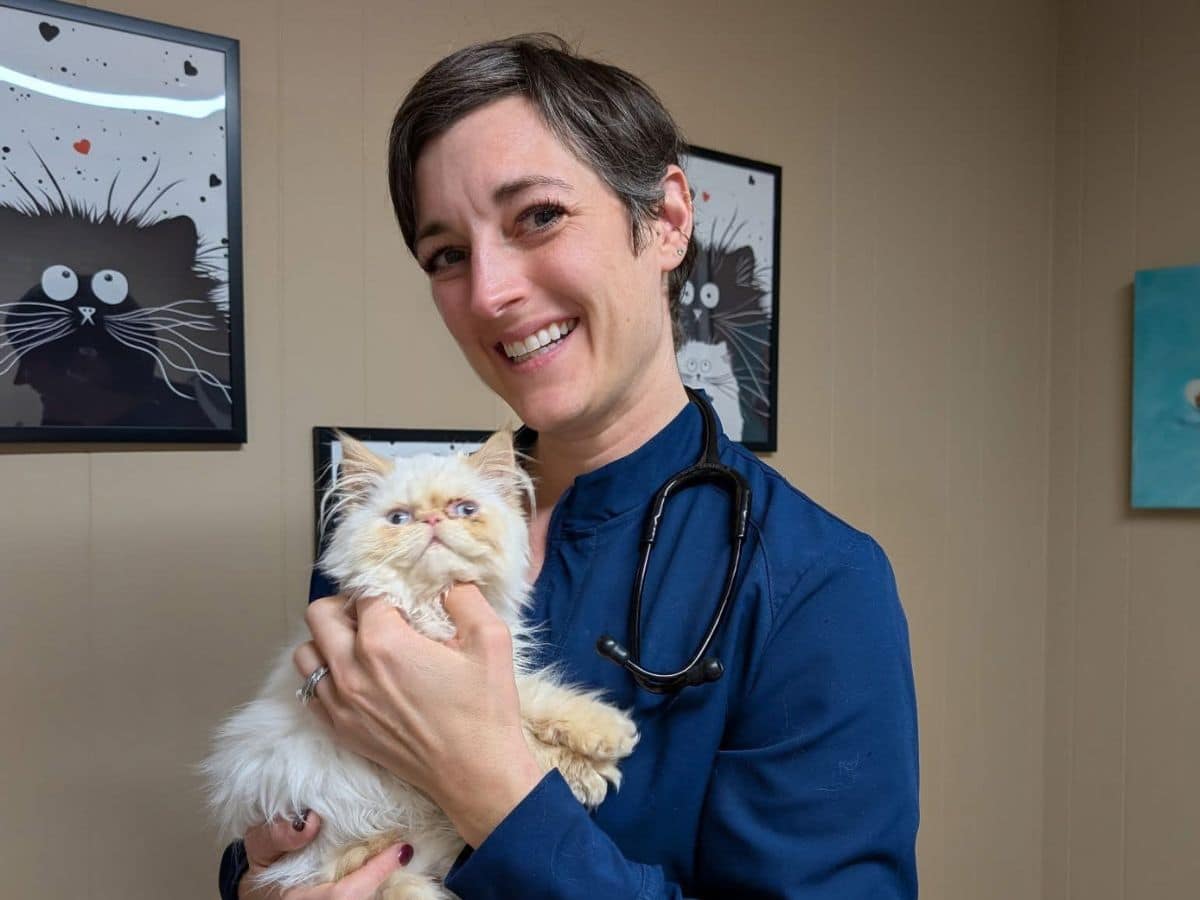 A woman in a blue shirt gently holds a cat