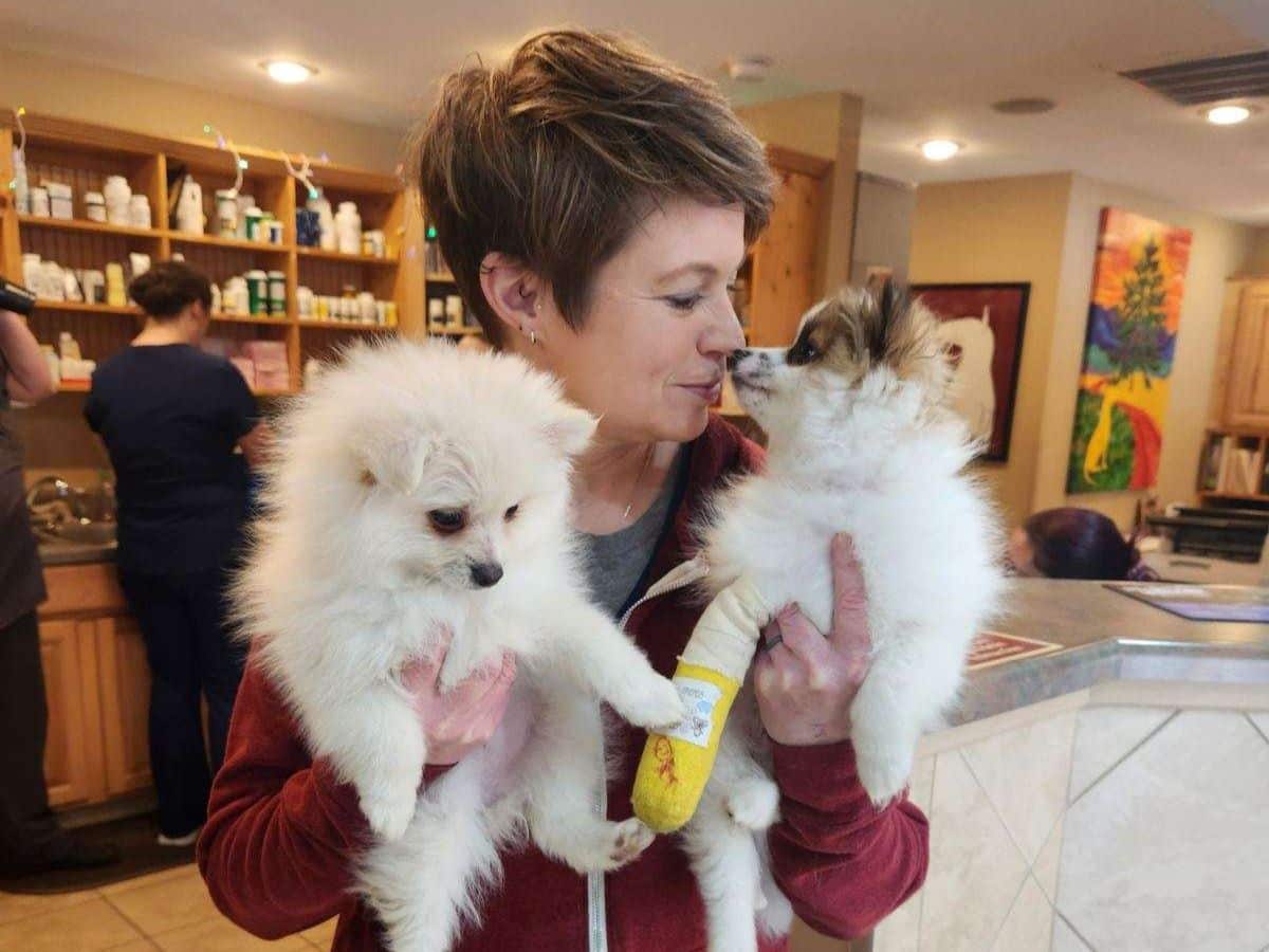 A woman gently cradles two small dogs in her hands
