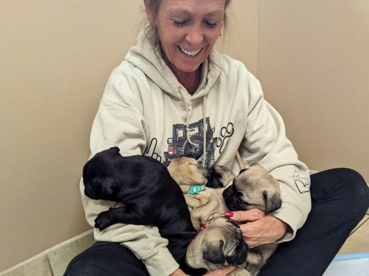 A woman in a sweatshirt smiles while holding three adorable puppies