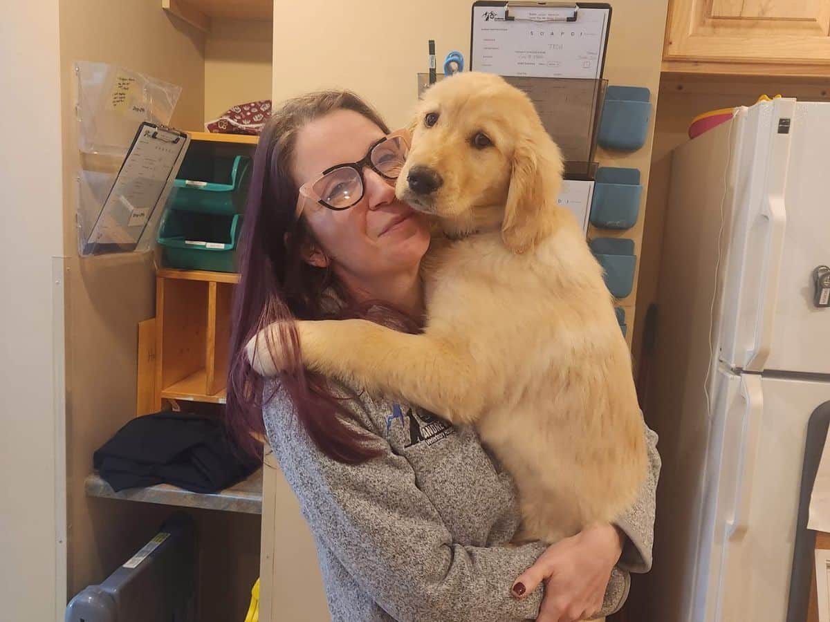 A woman cradles a golden retriever in her arms