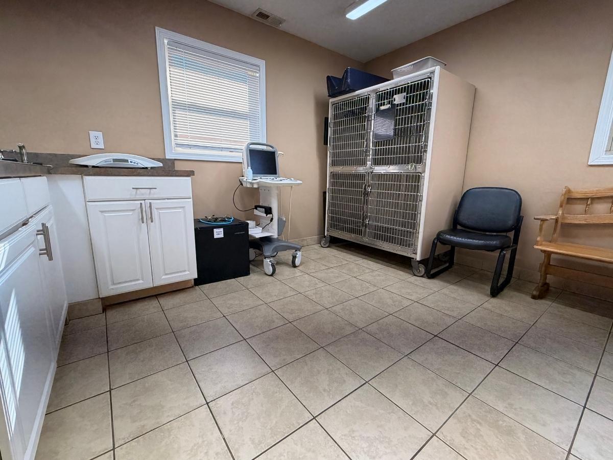 pet treatment room