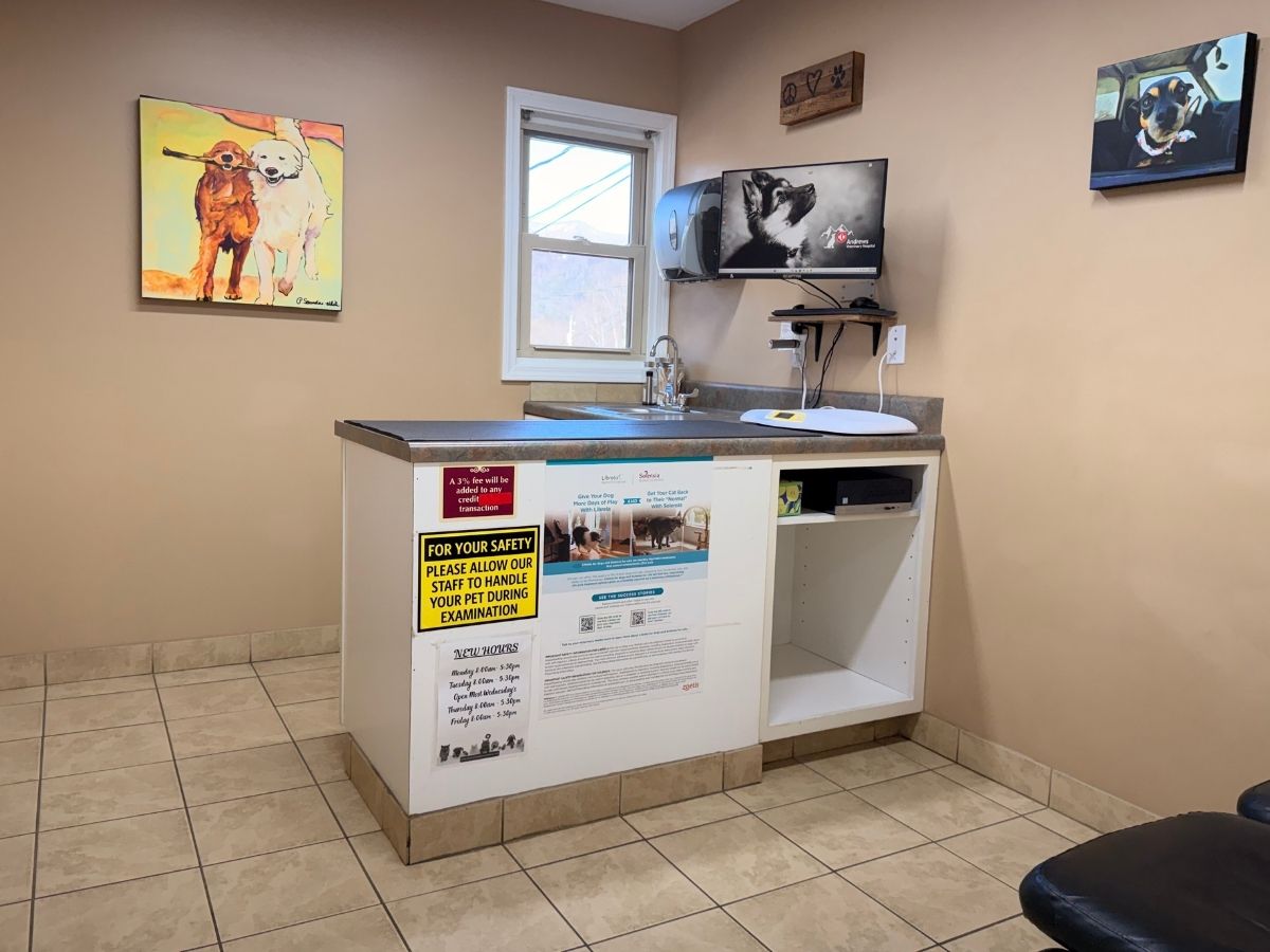 vet room interior
