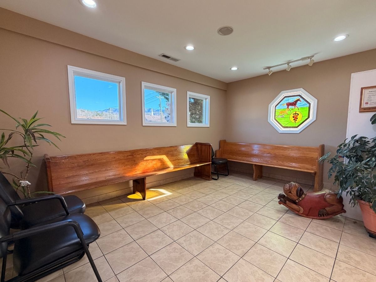 vet waiting room